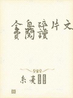 全息碎片文轩免费阅读