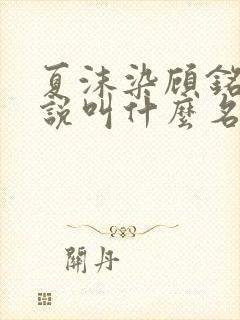 夏沫染顾铭修小说叫什么名字