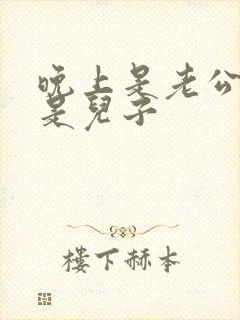 晚上是老公白天是儿子