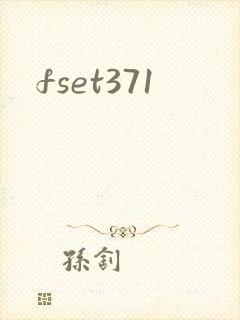 fset371