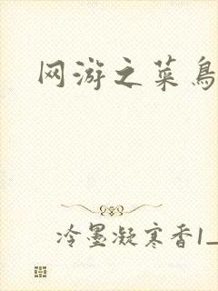 网游之菜鸟高手