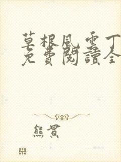 草根风云丁长生免费阅读全本