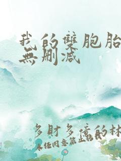 我的双胞胎老婆无删减