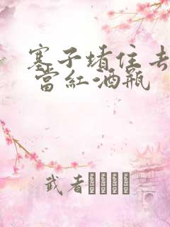 塞子堵住去上学 当红酒瓶