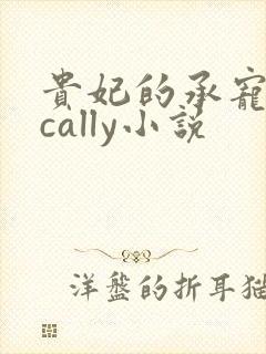 贵妃的承宠日常cally小说