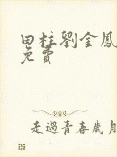 田柱刘金凤小说免费