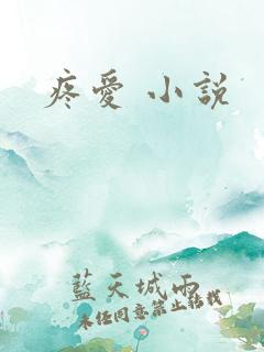 疼爱 小说