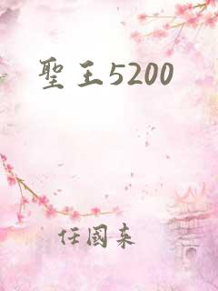 圣王5200