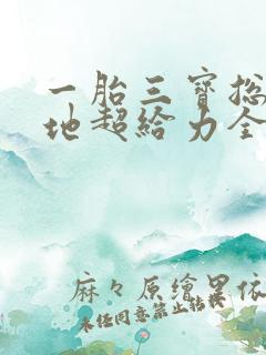 一胎三宝总裁爹地超给力全文免费阅读