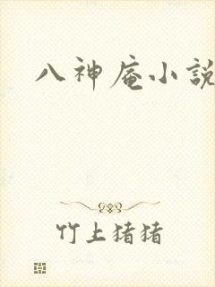 八神庵小说下载
