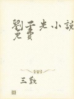 刘子光小说全文免费