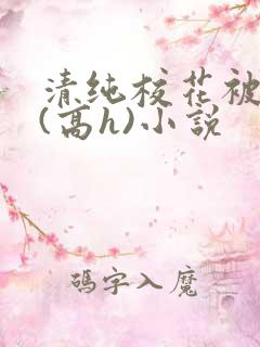 清纯校花被调教(高h)小说