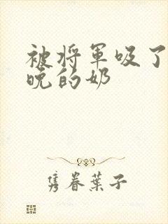 被将军吸了一整晚的奶