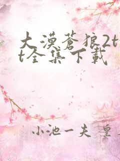 大漠苍狼2txt全集下载