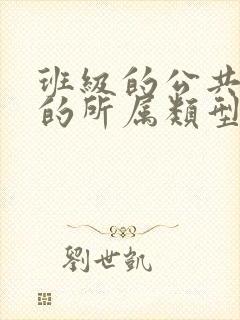 班级的公共小0的所属类型