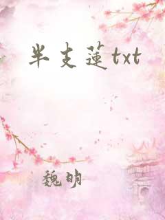 半支莲txt