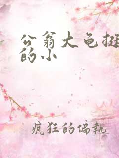 公翁大龟挺进我的小
