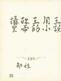 摄政王用玉髓整皇帝的小说