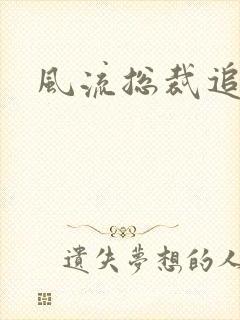 风流总裁追妻记