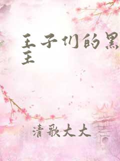 王子们的黑道公主