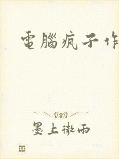电脑疯子作品