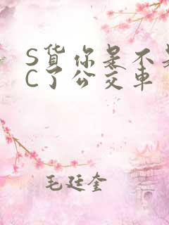 S货你是不是欠C了公交车