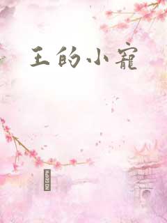 王的小宠