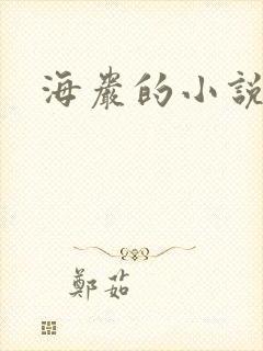 海岩的小说