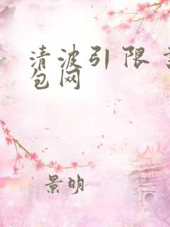 清波引 限 书包网