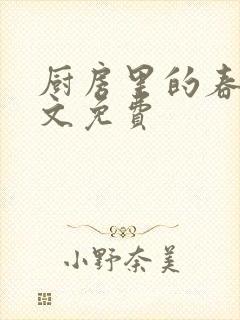 厨房里的春天全文免费