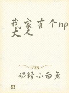 我家有个npc大人