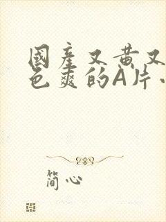 国产又黄又大又色爽的A片小说