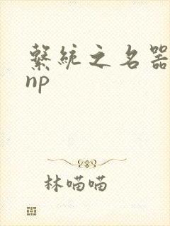 系统之名器攻略np