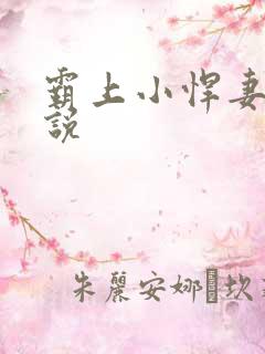 霸上小悍妻 小说