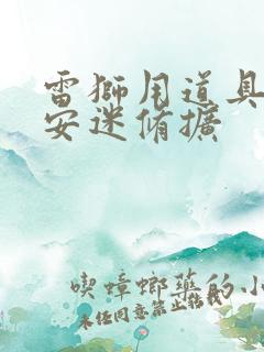 雷狮用道具玩哭安迷修扩