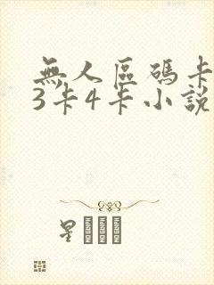 无人区码卡二卡3卡4卡小说