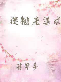 迷糊老婆求错婚