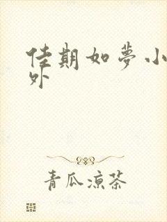 佳期如梦小说番外