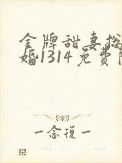 金牌甜妻总裁宠婚1314免费阅读