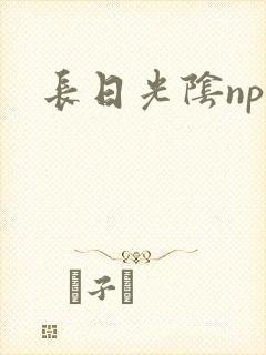 长日光阴np