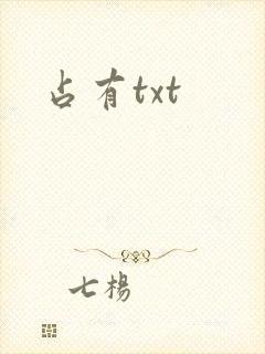 占有txt