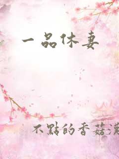 一品休妻