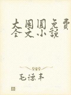 大团圆免费阅读全文小说