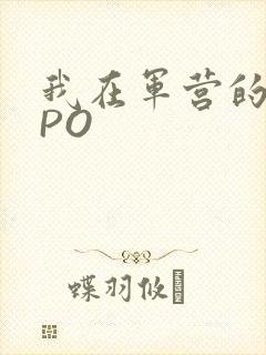 我在军营的日子PO