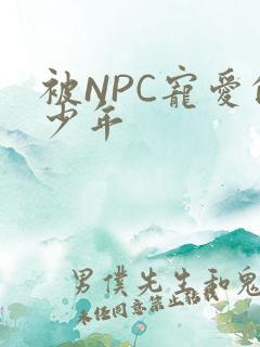 被NPC宠爱的少年
