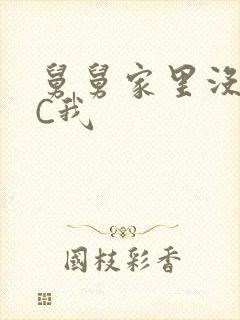 舅舅家里没人快C我