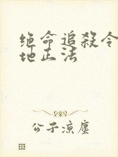 绝命追杀令2就地正法