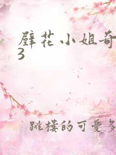 壁花小姐奇遇记3