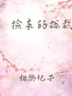 捡来的总裁儿子