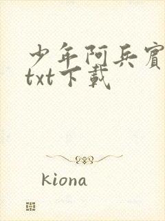 少年阿兵宾小说txt下载